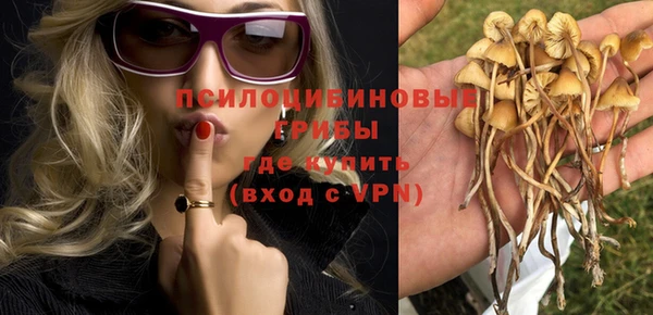 тгк Балахна