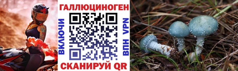 хочу   kraken сайт  Галлюциногенные грибы Magic Shrooms  Нижний Ломов 